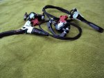 DSC02208.JPG