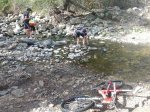 IMG_20120421_174956.jpg