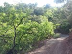 IMG_20120421_180427.jpg