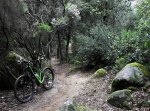 SDC13703.jpg