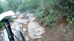 DSCN4443.jpg