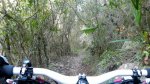 DSCN4464.jpg