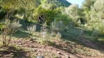 DSCN4473.jpg
