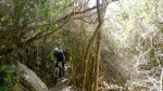 DSCN4543.jpg