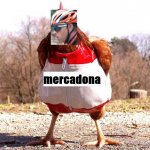 gallina parrita.JPG