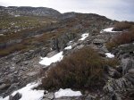 DSCN6637.JPG