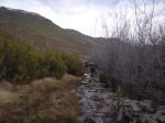 DSCN6661.JPG