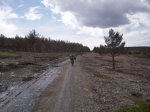 DSCN6741.JPG