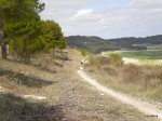 DSCN4249.JPG