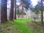 Foto8.JPG