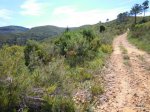 DSCN1615.JPG