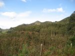 IMG_3267.JPG