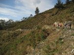 IMG_3270.JPG