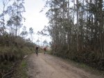 IMG_2464.JPG