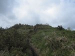 IMG_2485.JPG