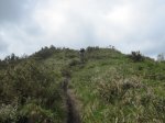 IMG_2486.JPG