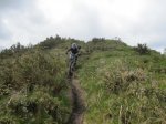 IMG_2487.JPG