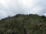 IMG_2491.JPG