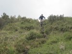 IMG_2493.JPG