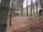 IMG_2529.JPG