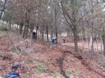 IMG_2530.JPG