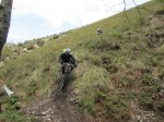 IMG_2540.JPG