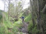 IMG_2550.JPG