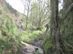 IMG_2562.JPG