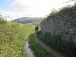 IMG_2590.JPG