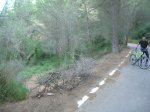DSCN9824.jpg
