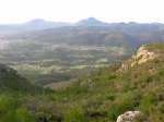 DSCN9828.jpg