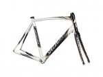 bettini.jpg