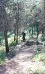 DSC03201x.JPG