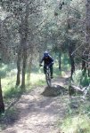 DSC03204x.JPG
