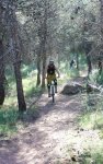 DSC03203x.JPG