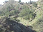 IMG_2150.jpg