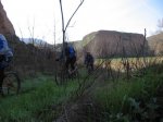 IMG_2227.jpg