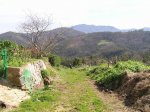 Imagen 012.jpg