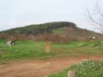 IMG_0005comp.JPG