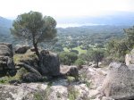 IMG_8628.JPG