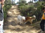 EXCURSIO DIUMENGE 4 MARÃ 009 (Small).jpg
