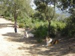 EXCURSIO DIUMENGE 4 MARÃ 017 (Small).jpg
