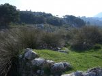 CIMG0176.JPG