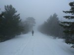 nieve.jpg