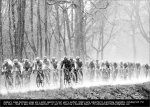 lbl12-hail.jpg