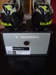 DSC04354.jpg