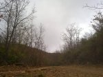 25042012228.jpg