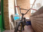 Foto0574.jpg