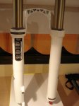 DSC01739 (Medium).JPG