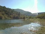 Foto0303.jpg